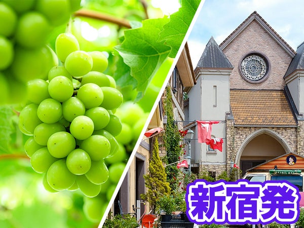 🔥催行確定日多数あり🔥【新宿発】8,000円台~ぶっとび格安✨「シャインマスカット狩り💚&黒ぶどう🍇のW食べ放題🔥」×「信玄餅詰め放題」×「ハイジの村でバイキング🍳」×「ワイン🍷飲み比べ放題」山梨グルメ旅🍴(ミニワインボトル付き♪)1